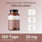 MHD Sonderverkauf: Eisen - inkl. Co-Faktoren - Supplera.de