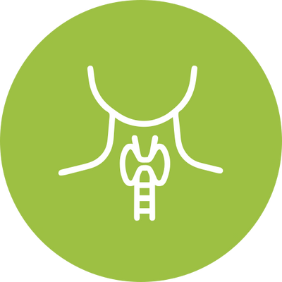 Zur Kategorie Schilddrüse