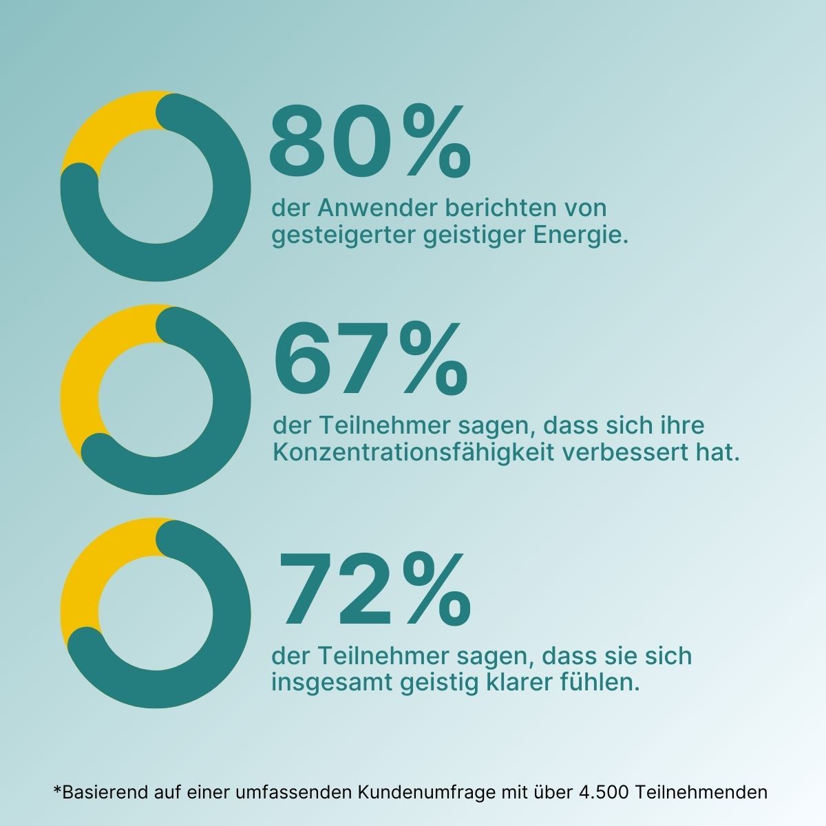 Acetyl-L-Carnitin Kapseln - Supplera.de