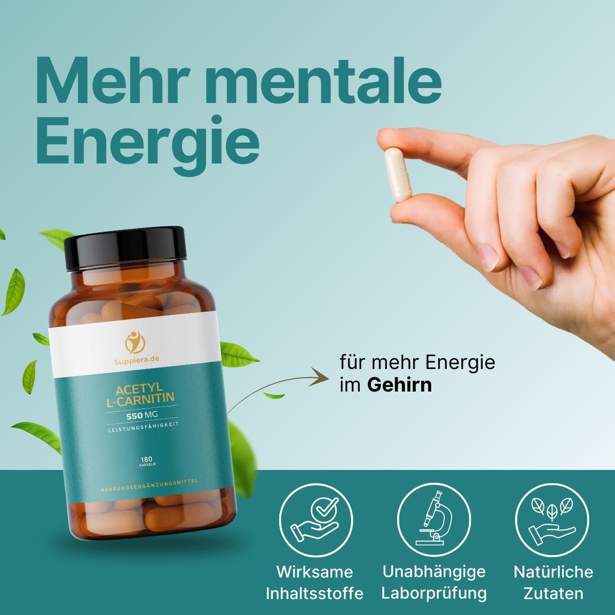 Acetyl-L-Carnitin Kapseln - Supplera.de