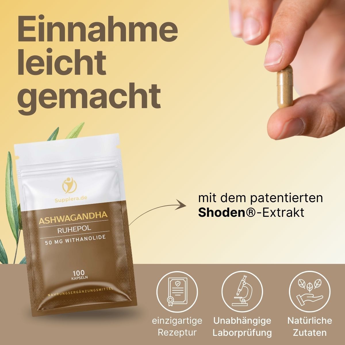 Ashwagandha - Supplera.de