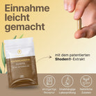 Ashwagandha - Supplera.de