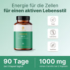 Carnitin - Kapseln - Supplera.de