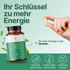 Carnitin - Kapseln - Supplera.de