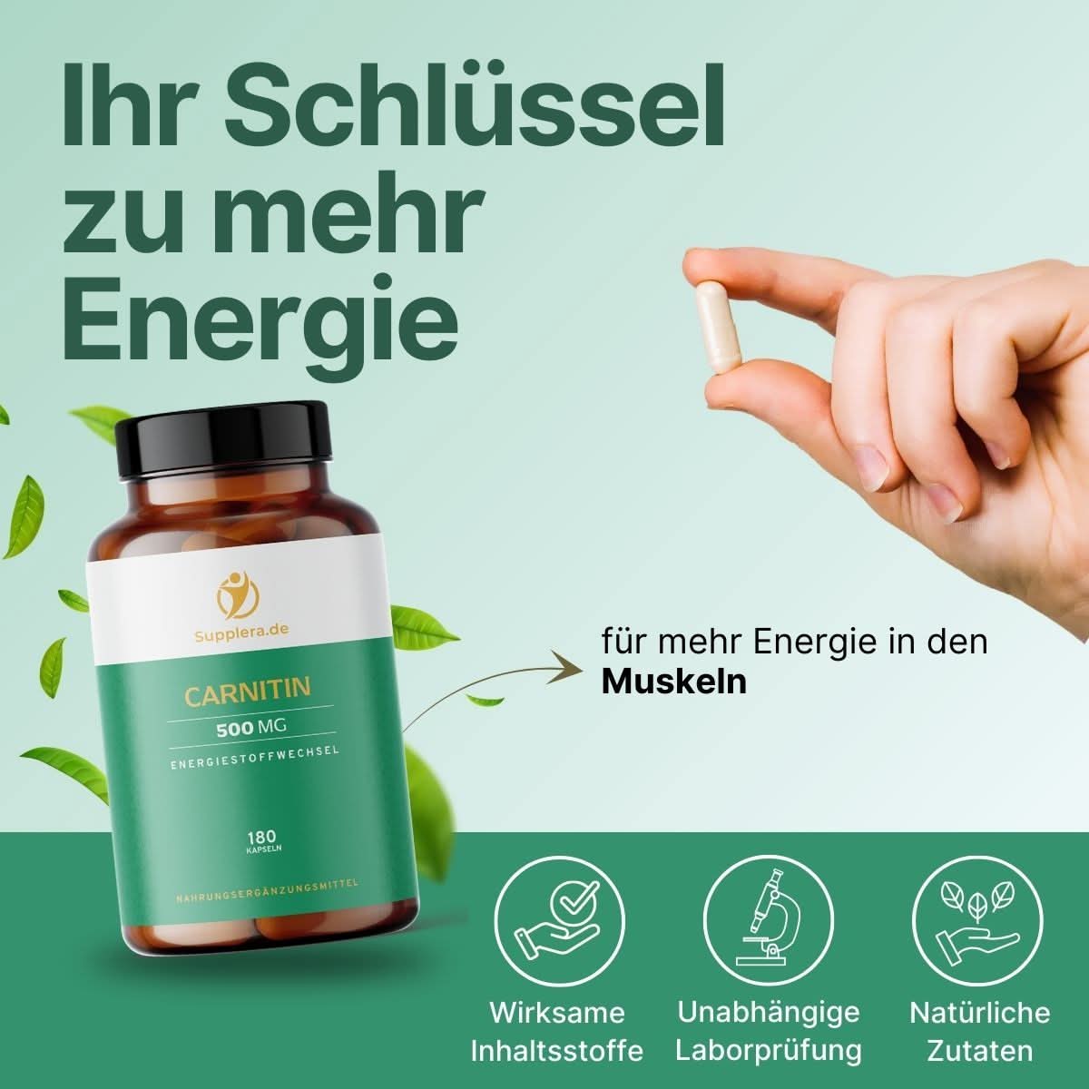 Carnitin - Kapseln - Supplera.de