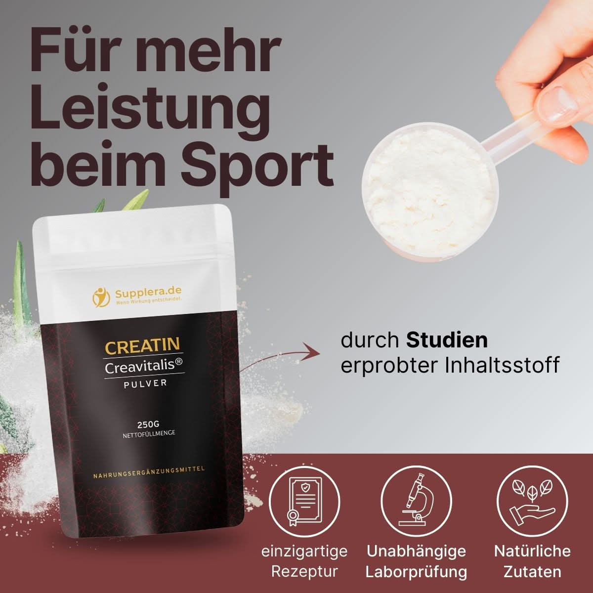 Creatin Pulver - Supplera.de