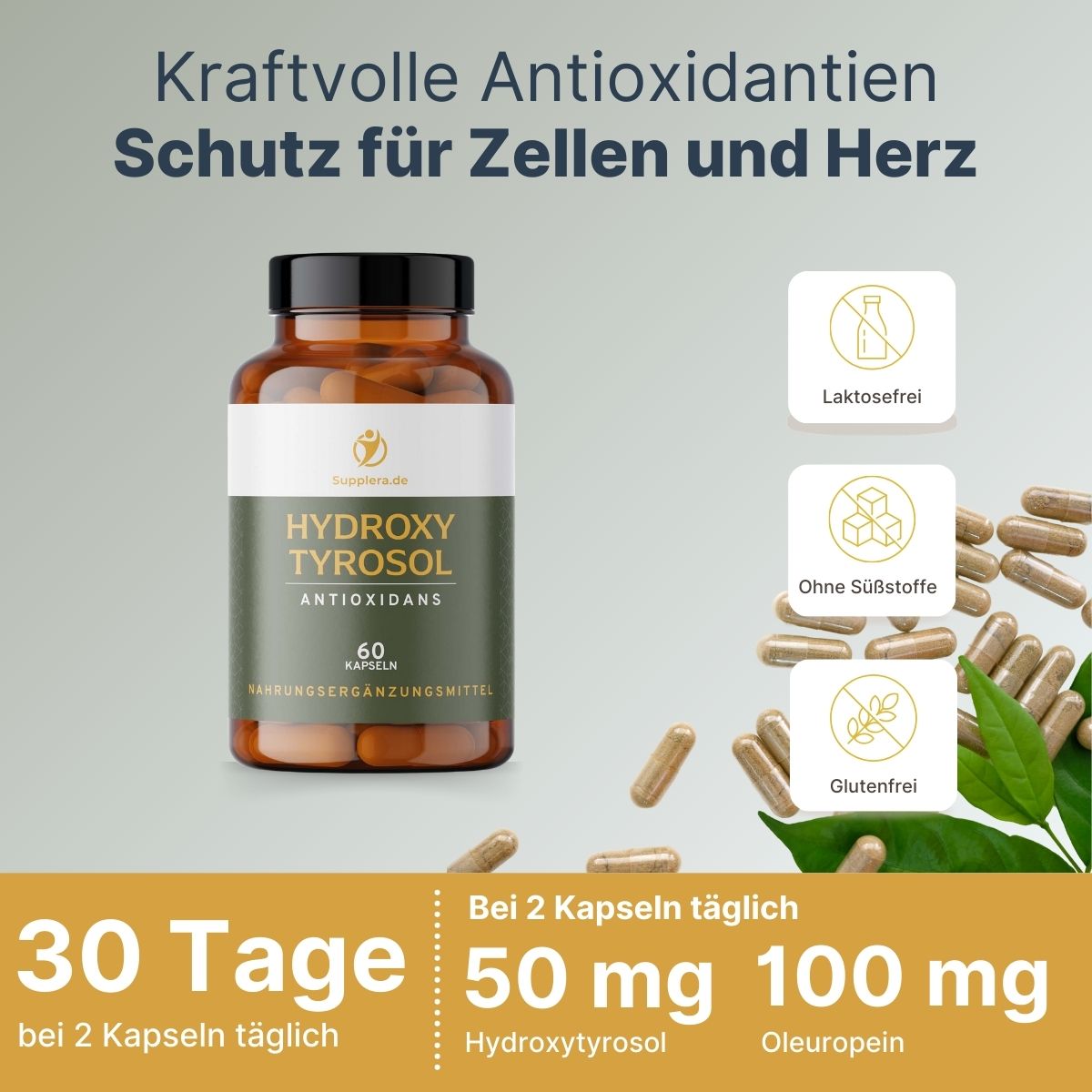 Hydroxytyrosol Kapseln