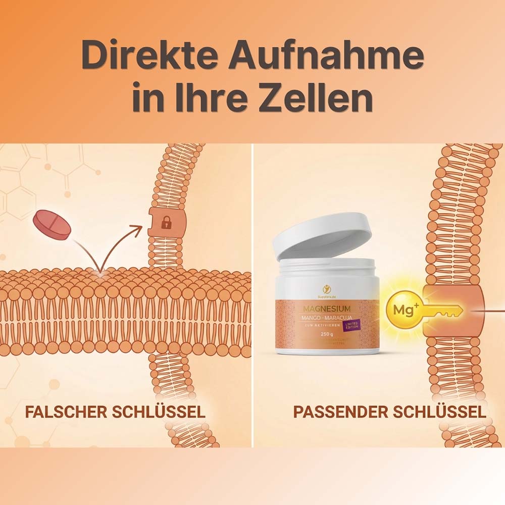 Veranschaulichung der direkten zellulären Aufnahme von ionischem Magnesium im Vergleich zu herkömmlichen Tabletten nach dem Schlüssel-Schloss-Prinzip. Das ionische Magnesium von Supplera fungiert als passender Schlüssel für die Zellen.