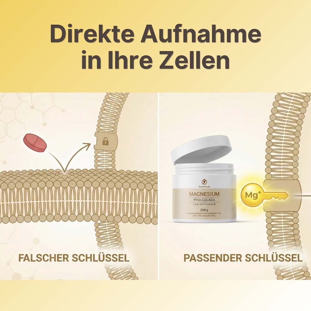 Veranschaulichung der direkten zellulären Aufnahme von ionischem Magnesium im Vergleich zu herkömmlichen Tabletten nach dem Schlüssel-Schloss-Prinzip. Das ionische Magnesium von Supplera fungiert als passender Schlüssel für die Zellen.