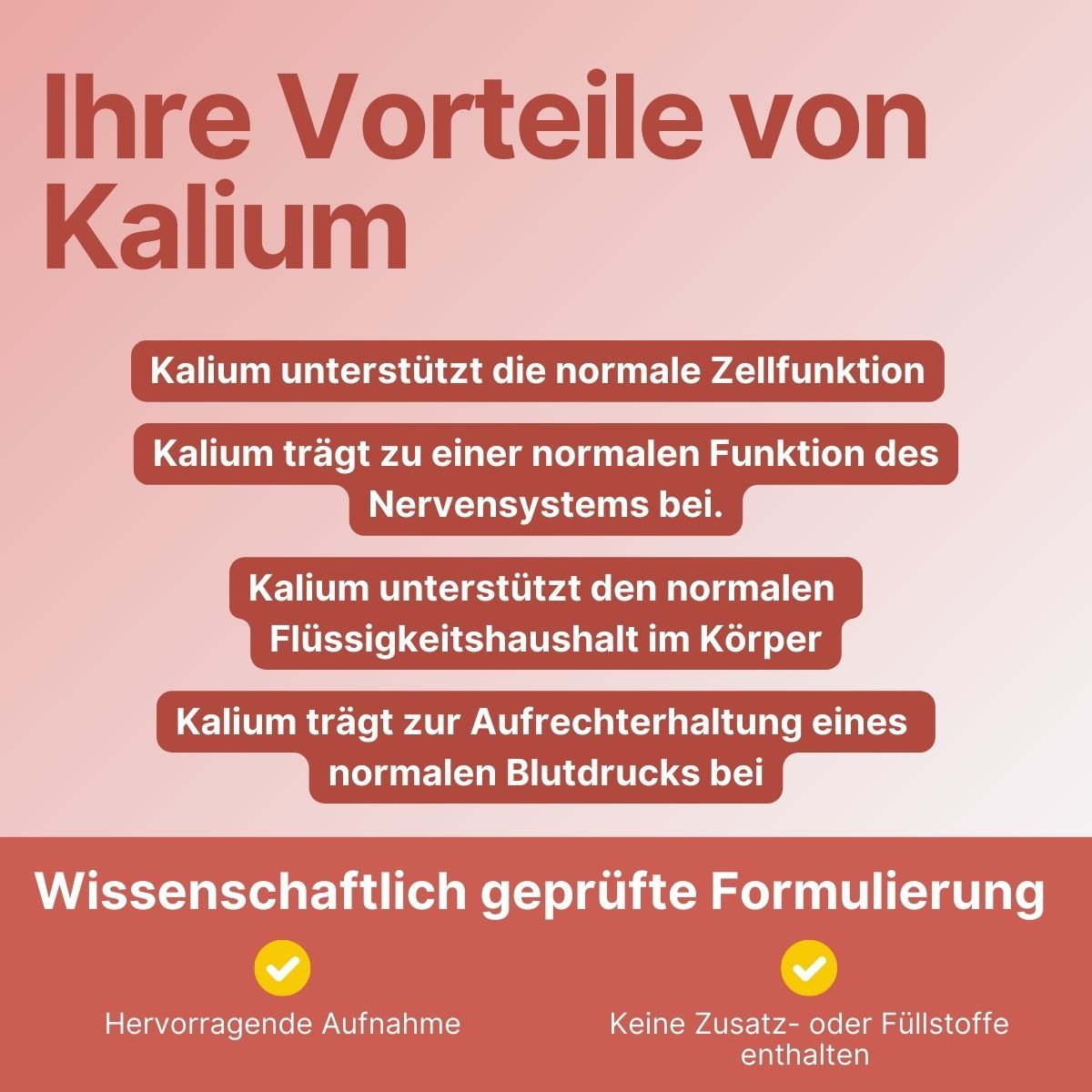 Kalium Retard Tabletten - Supplera.de