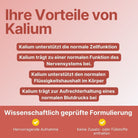 Kalium Retard Tabletten - Supplera.de