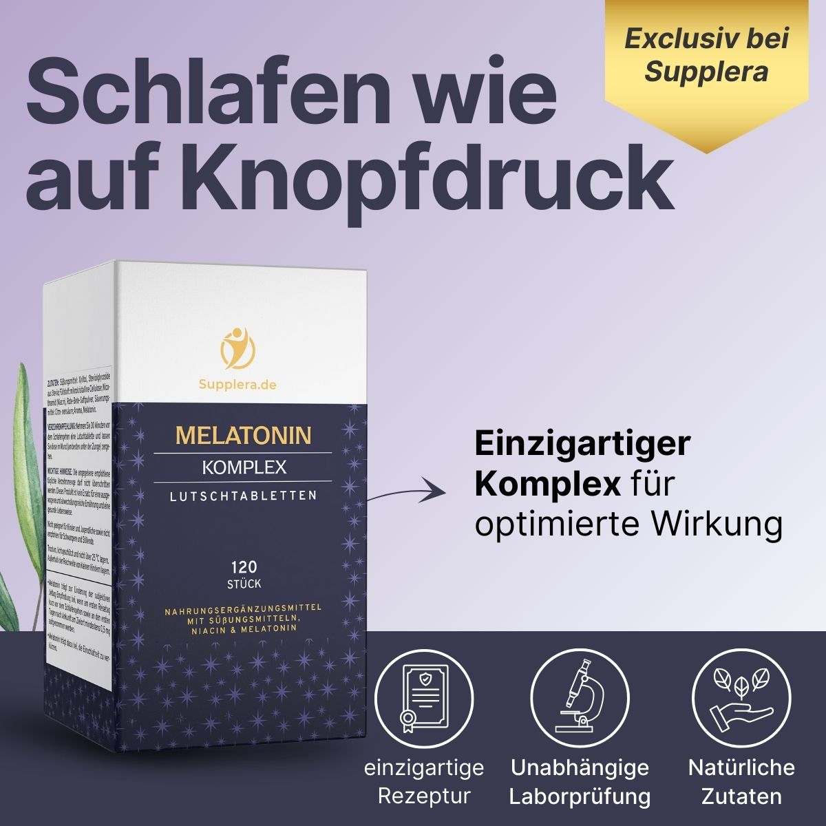 Gute-Nacht-Komplex - Supplera.de