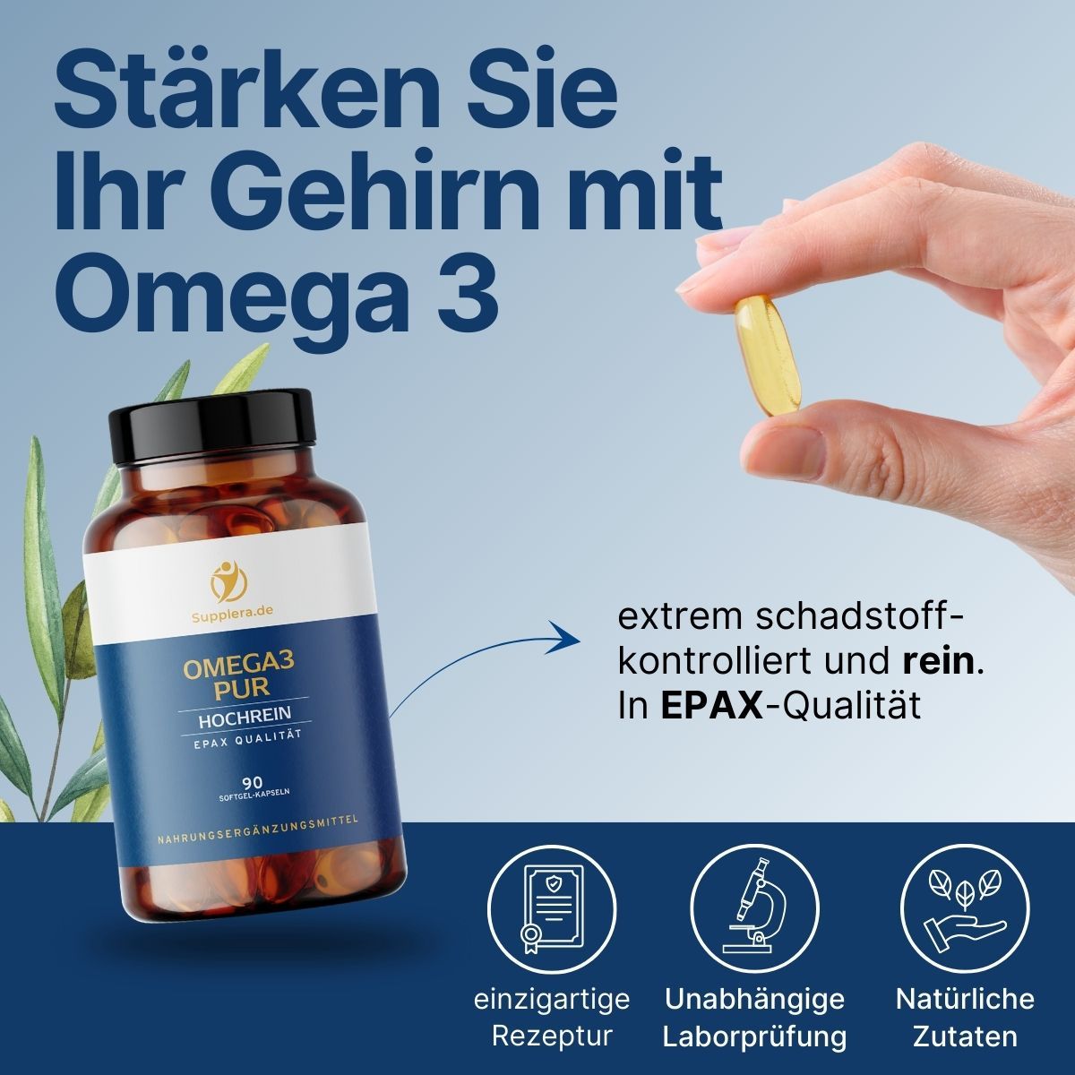 Omega 3 PUR Kapseln - Supplera.de