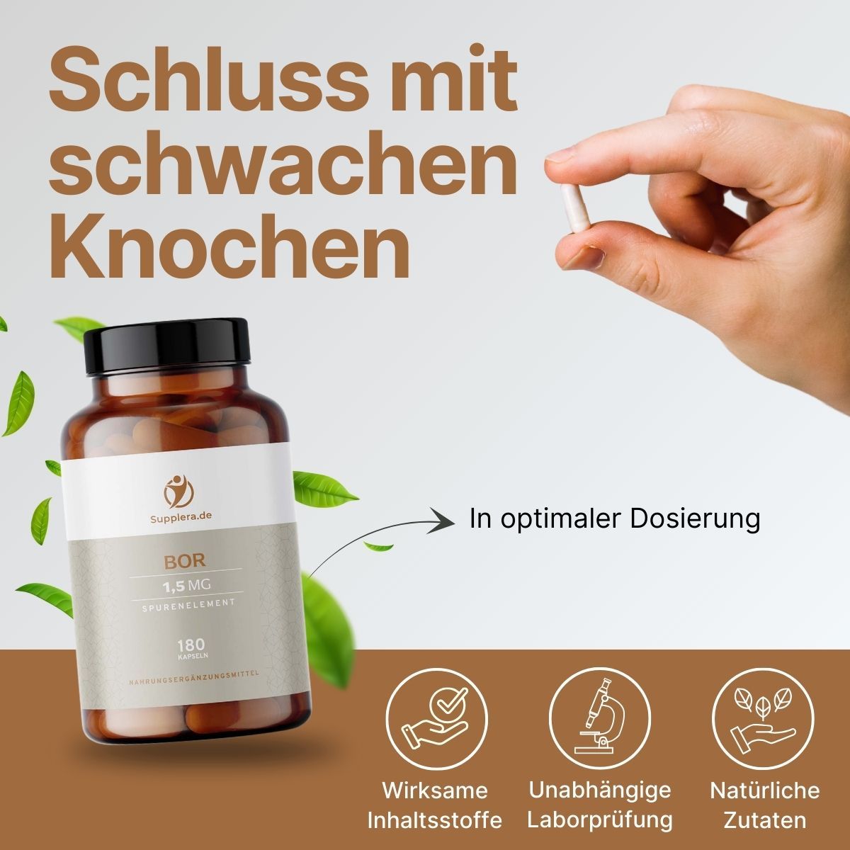 Bor - Spurenelement - Supplera.de