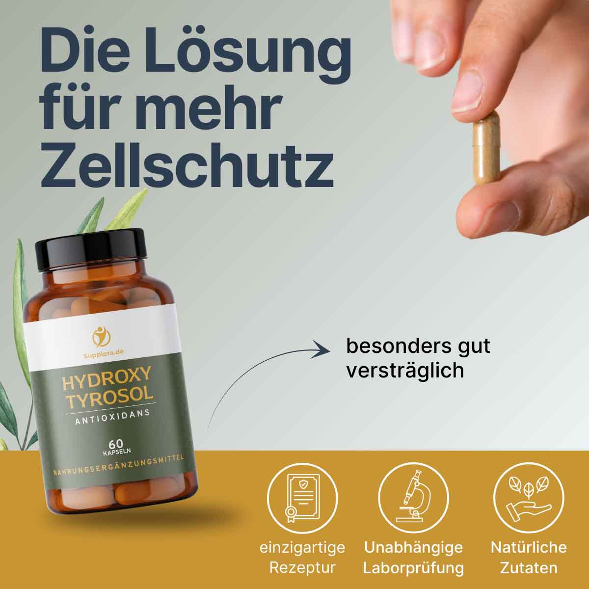 Die Lösung für mehr Zellschutz – Supplera Hydroxytyrosol Kapseln