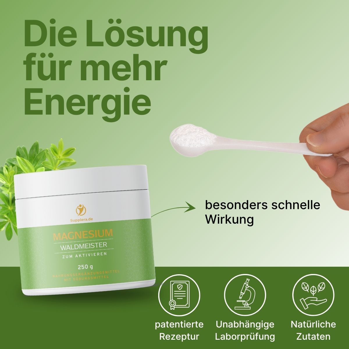 Ionisches Magnesium Waldmeister - Supplera.de