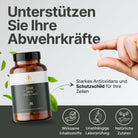 Zink-IDEAL - Supplera.de
