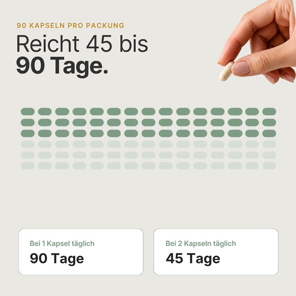 Infografik zur Einnahmedauer von Magnesium De-Stress – eine Packung reicht bis zu 90 Tage