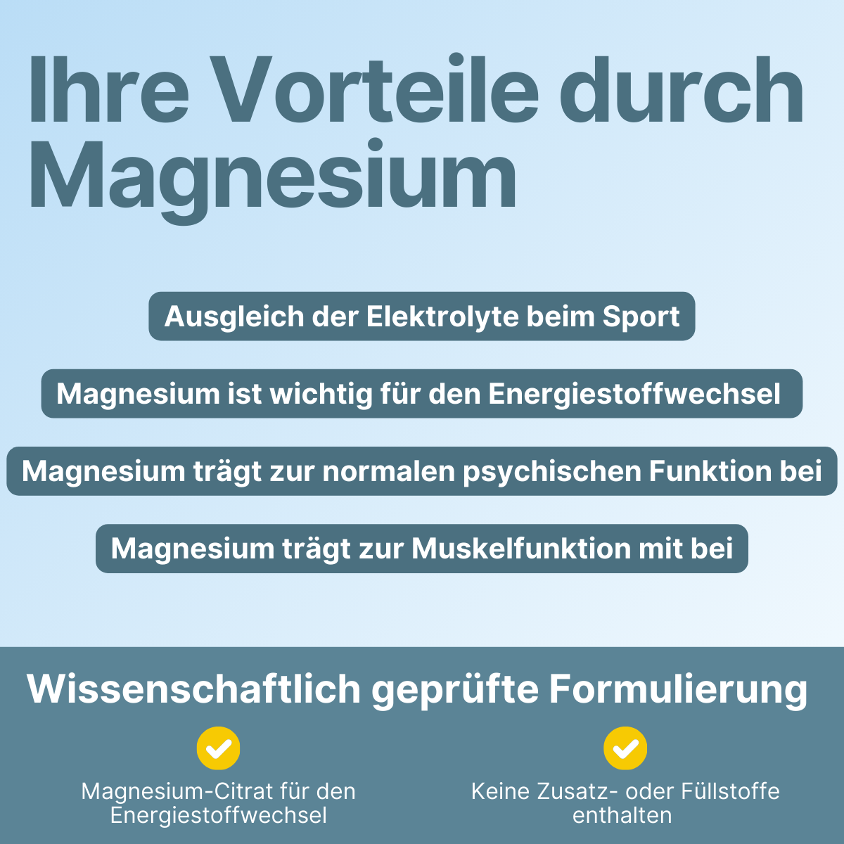 Magnesium Geschmacksmuster 5'er Set