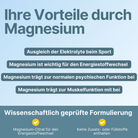 Magnesium Geschmacksmuster 5'er Set
