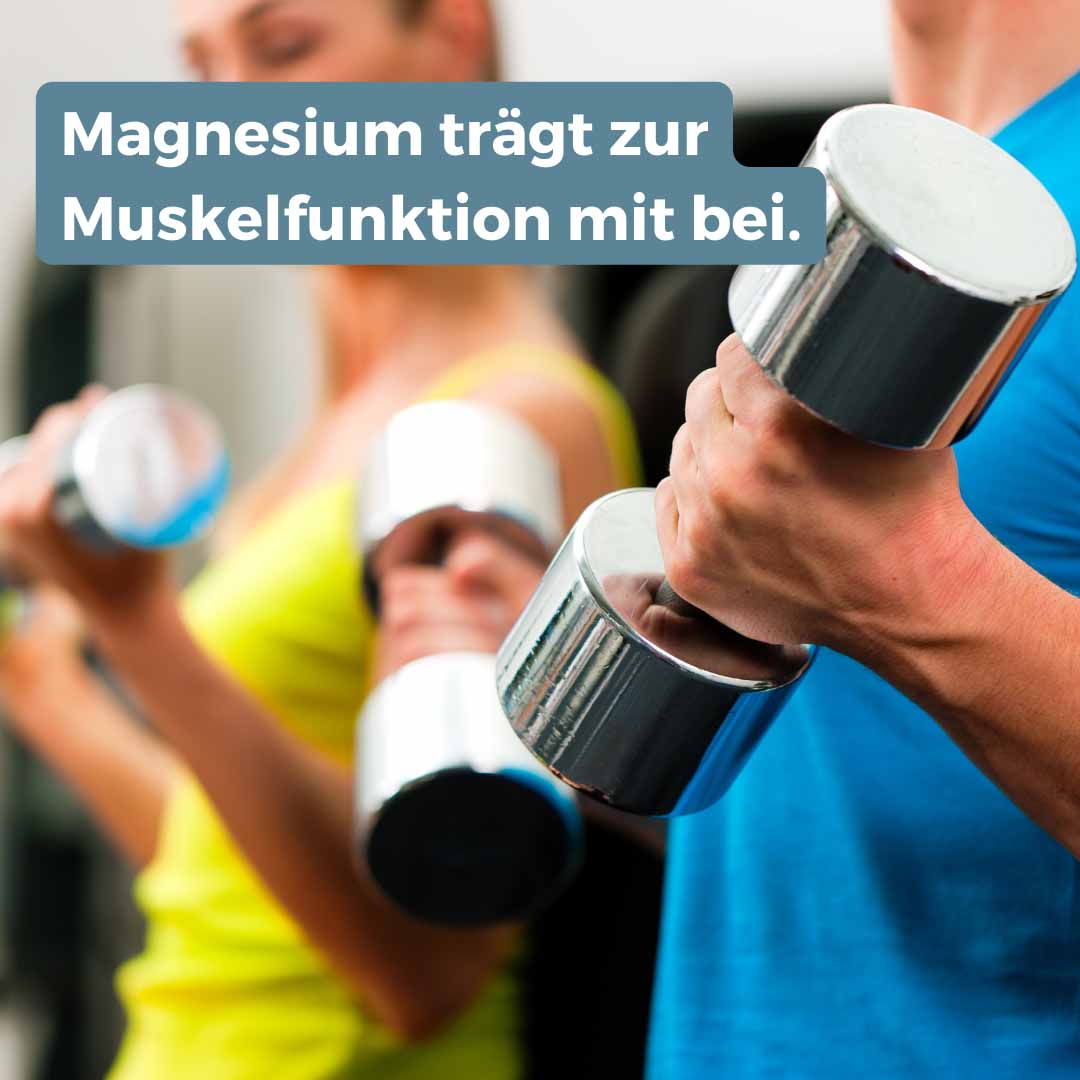 Supplera Magnesium unterstützt die Muskelfunktion – 1 kg Vorratsdose Magnesium Pur